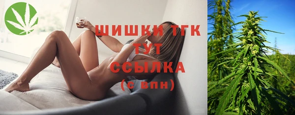 гашик Покровск