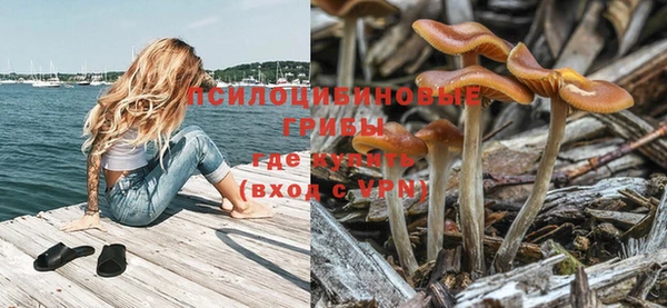 гидра Братск