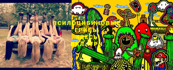 гашик Покровск
