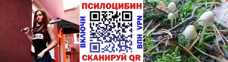 Галлюциногенные грибы Psilocybine cubensis  где найти наркотики  Кропоткин 