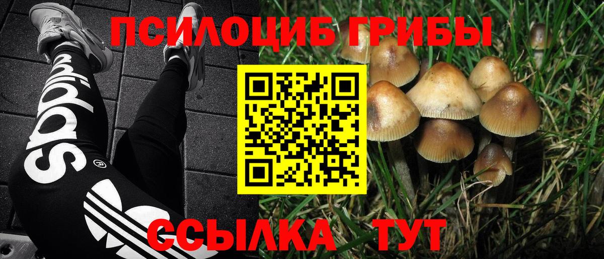 Галлюциногенные грибы MAGIC MUSHROOMS Кропоткин