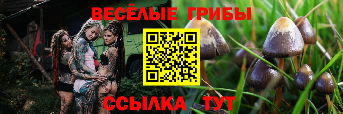 Кропоткин  Галлюциногенные грибы мухоморы  Вход с VPN 